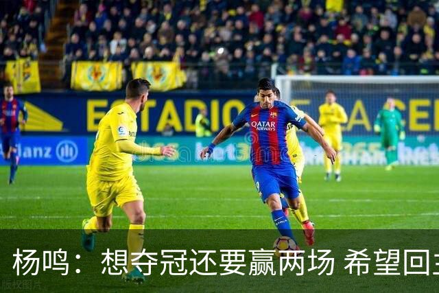 杨鸣：想夺冠还要赢两场 希望回主场一鼓作气